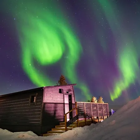 Aurora Collection