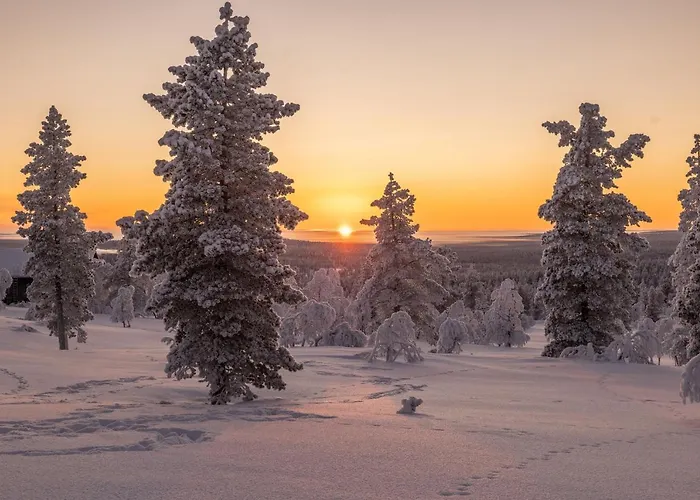 Aurora Collection Hotel