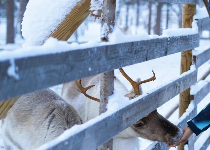 Aurora Collection فندق ساريسيلكا