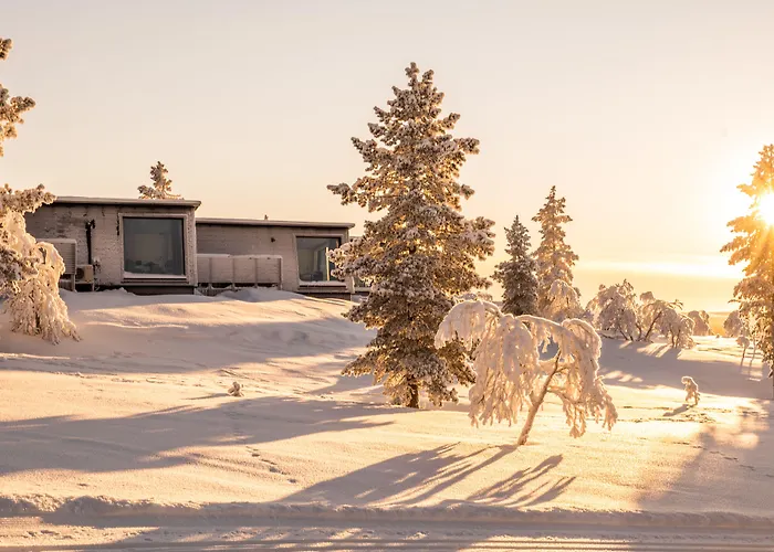 Aurora Collection ساريسيلكا